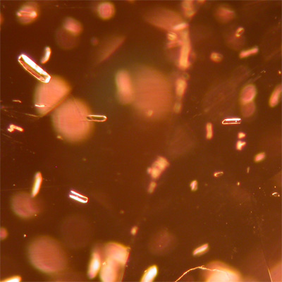 tourmaline_xls708885.jpg