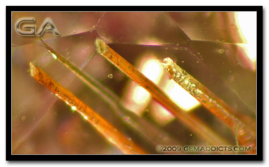 pink_tourm_tubes2708887.jpg