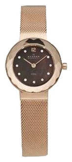 Skagen 456SRR1 - женские наручные часы из коллекции Mesh Skagen 456SRR1 - женские наручные часы из коллекции MeshSkagen<br><br><br>Бренд: Skagen<br>Модель: Skagen 456SRR1<br>Артикул: 456SRR1<br>Вариант артикула: None<br>Коллекция: Mesh<br>Подколлекция: None<br>Страна: Дания<br>Пол: женские<br>Тип механизма: кварцевые<br>Механизм: None<br>Количество камней: None<br>Автоподзавод: None<br>Источник энергии: от батарейки<br>Срок службы элемента питания: None<br>Дисплей: стрелки<br>Цифры: арабские<br>Водозащита: WR 30<br>Противоударные: None<br>Материал корпуса: нерж. сталь<br>Материал браслета: нерж. сталь<br>Материал безеля: None<br>Стекло: минеральное<br>Антибликовое покрытие: None<br>Цвет корпуса: None<br>Цвет браслета: None<br>Цвет циферблата: None<br>Цвет безеля: None<br>Размеры: 25x5.5 мм<br>Диаметр: None<br>Диаметр корпуса: None<br>Толщина: None<br>Ширина ремешка: None<br>Вес: None<br>Спорт-функции: None<br>Подсветка: None<br>Вставка: None<br>Отображение даты: None<br>Хронограф: None<br>Таймер: None<br>Термометр: None<br>Хронометр: None<br>GPS: None<br>Радиосинхронизация: None<br>Барометр: None<br>Скелетон: None<br>Дополнительная информация: None<br>Дополнительные функции: None