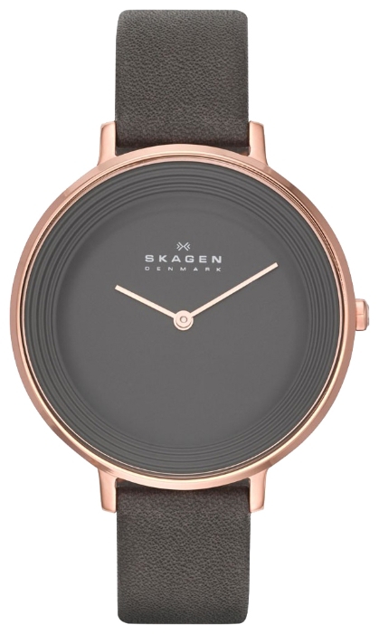 Skagen SKW2216 - женские наручные часы из коллекции Leather Skagen SKW2216 - женские наручные часы из коллекции LeatherSkagen<br><br><br>Бренд: Skagen<br>Модель: Skagen SKW2216<br>Артикул: SKW2216<br>Вариант артикула: None<br>Коллекция: Leather<br>Подколлекция: None<br>Страна: Дания<br>Пол: женские<br>Тип механизма: кварцевые<br>Механизм: None<br>Количество камней: None<br>Автоподзавод: None<br>Источник энергии: от батарейки<br>Срок службы элемента питания: None<br>Дисплей: стрелки<br>Цифры: отсутствуют<br>Водозащита: WR 30<br>Противоударные: None<br>Материал корпуса: нерж. сталь, IP покрытие (полное)<br>Материал браслета: кожа<br>Материал безеля: None<br>Стекло: минеральное<br>Антибликовое покрытие: None<br>Цвет корпуса: None<br>Цвет браслета: None<br>Цвет циферблата: None<br>Цвет безеля: None<br>Размеры: 36x8 мм<br>Диаметр: None<br>Диаметр корпуса: None<br>Толщина: None<br>Ширина ремешка: None<br>Вес: None<br>Спорт-функции: None<br>Подсветка: None<br>Вставка: None<br>Отображение даты: None<br>Хронограф: None<br>Таймер: None<br>Термометр: None<br>Хронометр: None<br>GPS: None<br>Радиосинхронизация: None<br>Барометр: None<br>Скелетон: None<br>Дополнительная информация: None<br>Дополнительные функции: None