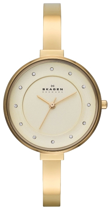 Skagen SKW2229 - женские наручные часы из коллекции Links Skagen SKW2229 - женские наручные часы из коллекции LinksSkagen<br><br><br>Бренд: Skagen<br>Модель: Skagen SKW2229<br>Артикул: SKW2229<br>Вариант артикула: None<br>Коллекция: Links<br>Подколлекция: None<br>Страна: Дания<br>Пол: женские<br>Тип механизма: кварцевые<br>Механизм: None<br>Количество камней: None<br>Автоподзавод: None<br>Источник энергии: от батарейки<br>Срок службы элемента питания: None<br>Дисплей: стрелки<br>Цифры: отсутствуют<br>Водозащита: WR 30<br>Противоударные: None<br>Материал корпуса: нерж. сталь, IP покрытие (полное)<br>Материал браслета: нерж. сталь, IP покрытие (полное)<br>Материал безеля: None<br>Стекло: минеральное<br>Антибликовое покрытие: None<br>Цвет корпуса: None<br>Цвет браслета: None<br>Цвет циферблата: None<br>Цвет безеля: None<br>Размеры: 32 мм<br>Диаметр: None<br>Диаметр корпуса: None<br>Толщина: None<br>Ширина ремешка: None<br>Вес: None<br>Спорт-функции: None<br>Подсветка: None<br>Вставка: None<br>Отображение даты: None<br>Хронограф: None<br>Таймер: None<br>Термометр: None<br>Хронометр: None<br>GPS: None<br>Радиосинхронизация: None<br>Барометр: None<br>Скелетон: None<br>Дополнительная информация: None<br>Дополнительные функции: None