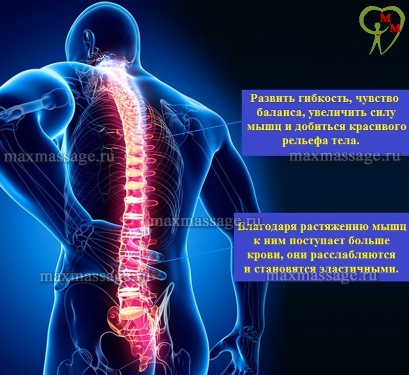 Гипертонус мышц шеи и спины массаж Гипертонус мышц шеи и спины массаж
