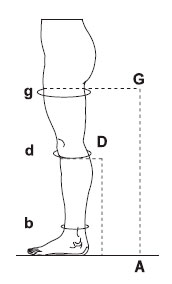 noga3.jpg