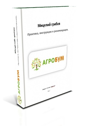 Книга "Мицелий грибов" в ПОДАРОК Книга "Мицелий грибов" в ПОДАРОК