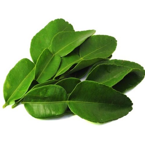 https://static12.insales.ru/images/products/1/2005/30549973/lime_leaves.jpg