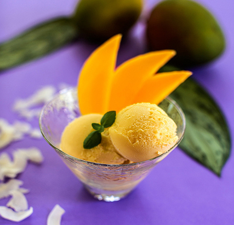 https://static12.insales.ru/images/products/1/7308/15121548/mango_coconut_icecream.jpg