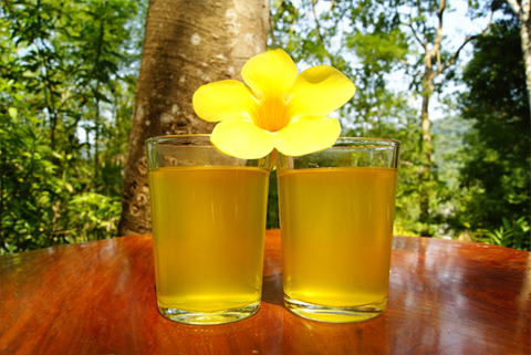 https://static12.insales.ru/images/products/1/7779/12746339/Ginger_drink_1.jpg